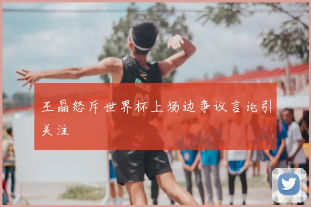 王晶怒斥世界杯上场边争议言论引关注