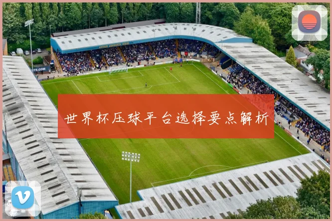 世界杯压球平台选择要点解析