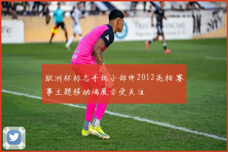 欧洲杯标志手机小部件2012亮相 赛事主题移动端展示受关注