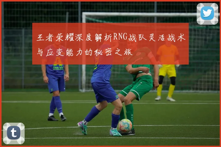王者荣耀深度解析RNG战队灵活战术与应变能力的秘密之旅