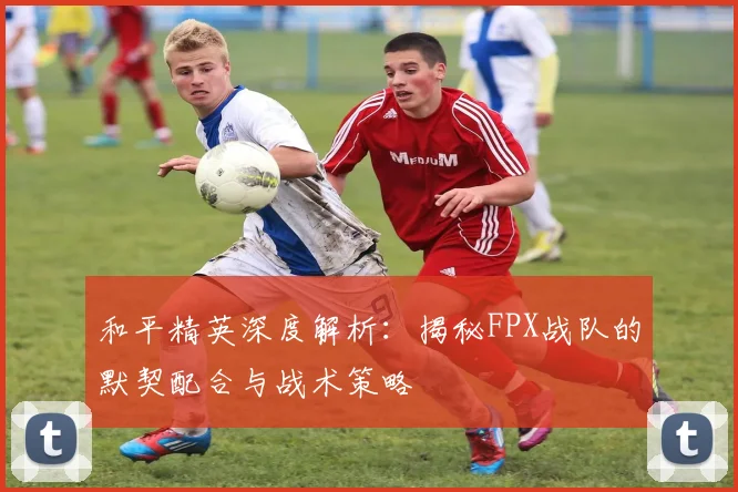 和平精英深度解析:揭秘FPX战队的默契配合与战术策略