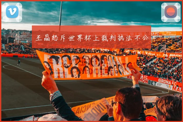 王晶怒斥世界杯上裁判执法不公