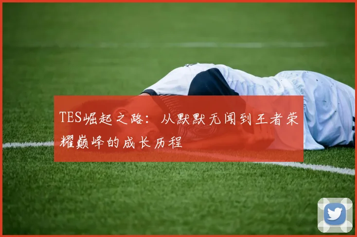 TES崛起之路：从默默无闻到王者荣耀巅峰的成长历程