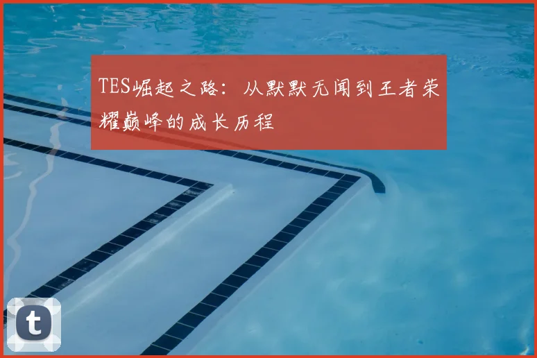 TES崛起之路:从默默无闻到王者荣耀巅峰的成长历程