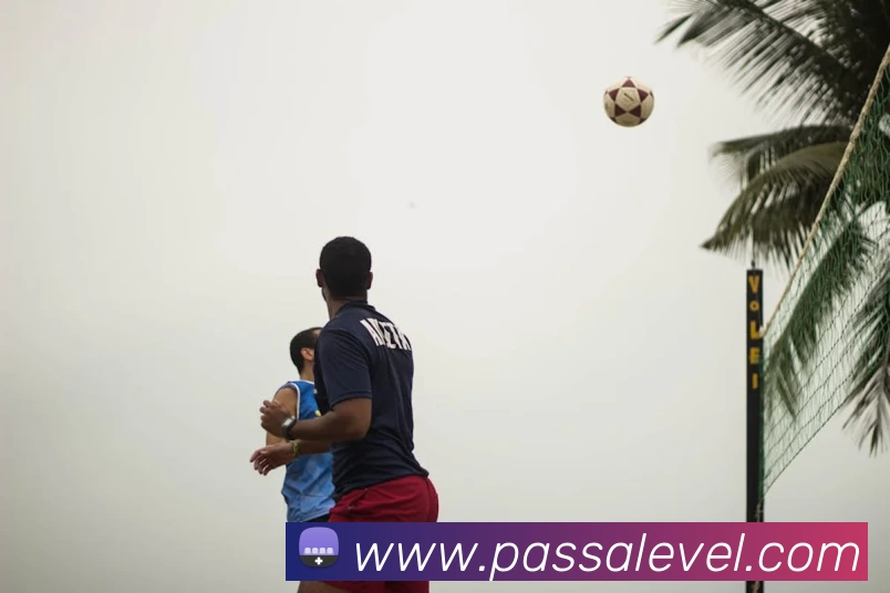 九游体育APP 封面图